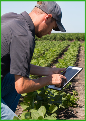 Horticulture Programs