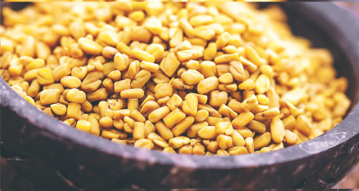 Fenugreek Seed
