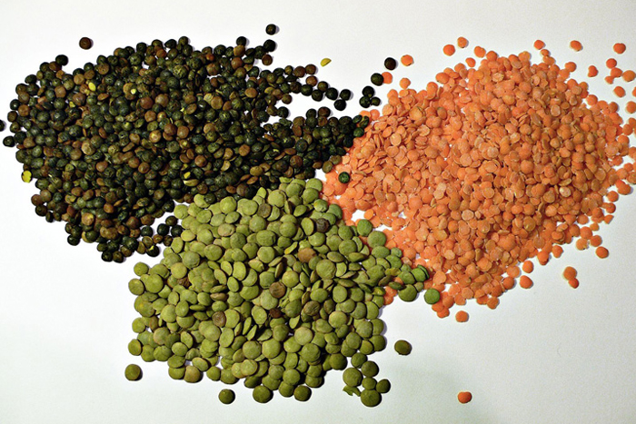 Cattle feed - Lentil Husk