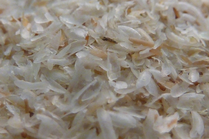 Psyllium Husk