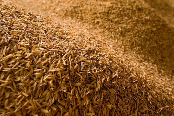 Rice Husk - cattle feed