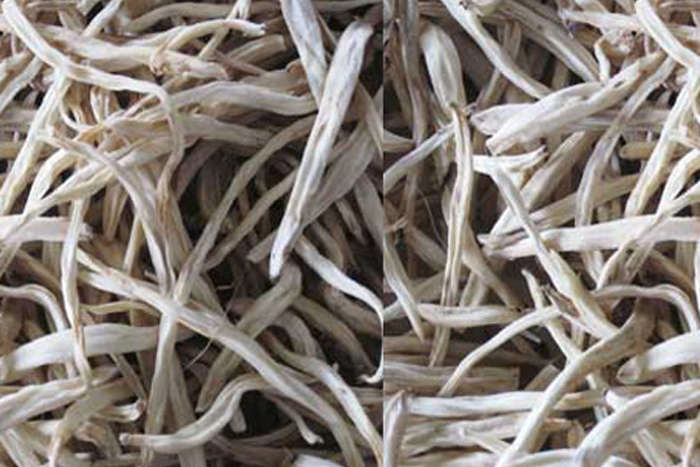 White Musli seed